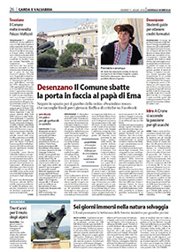 pesciolinorosso a desenzano