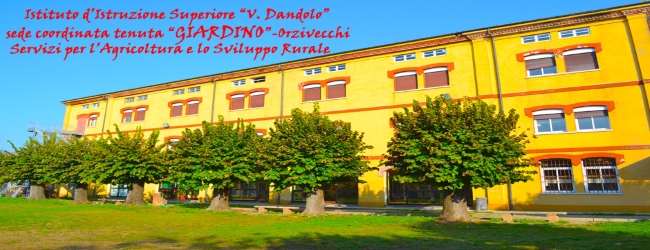 Immagine tratta da Google Immagini