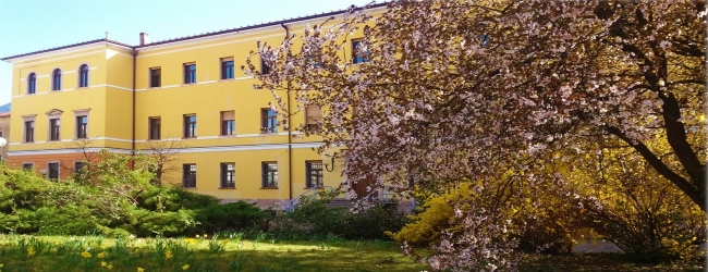 Evento scuola al liceo scientifico Da Vinci di Trento (TN)