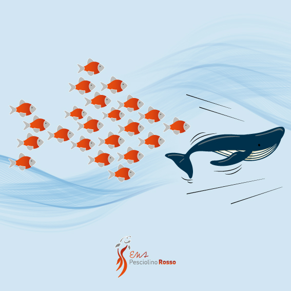 PescioliniRossi contro Balena Blu