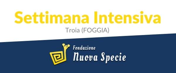 Corso intensivo alla Fondazione Nuova Specie